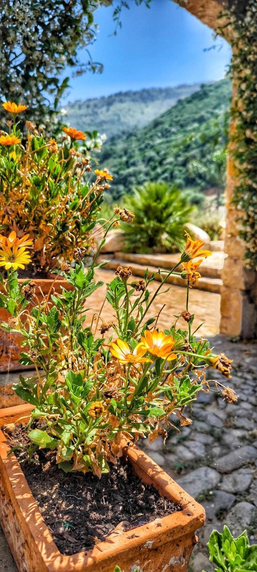 Antico Borgo Buonanotte Resort *